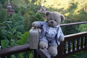 Teddy bear with a suitcase photo