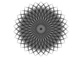 Mandala de flores de arte de cuerda, símbolo de la semilla de la vida geometría sagrada. logo vector