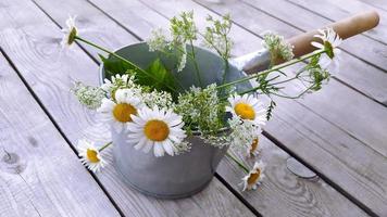 Metal bucket with a bouquet of daisies. Bath accessories photo