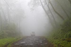 pista de la jungla de niebla foto