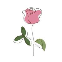 Hand drawn rose, line art. vector