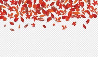 Fondo de vector con hojas de otoño caídas rojas, naranjas, marrones
