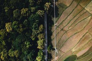 Landscape paddy rice field in Asia, aerial view of rice fields photo