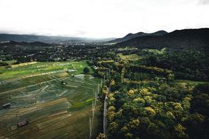 Landscape paddy rice field in Asia, aerial view of rice fields photo