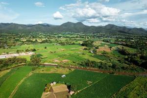 Landscape paddy rice field in Asia, aerial view of rice fields photo