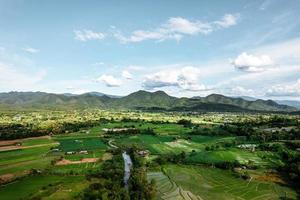 Landscape paddy rice field in Asia, aerial view of rice fields photo