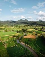 Landscape paddy rice field in Asia, aerial view of rice fields photo