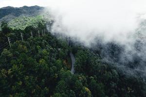 Road in the forest rainy season nature trees and fog travel photo