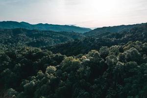 camino en el bosque temporada de lluvias naturaleza árboles y niebla viajes foto