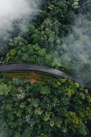 camino en el bosque temporada de lluvias naturaleza árboles y niebla viajes foto