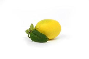 limón dulce aislado sobre fondo blanco. foto