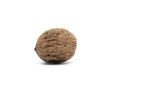 Walnut white background. Walnut in shell on a white background. photo