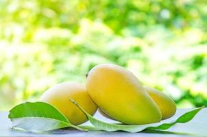 Thai mango, Summer fruit, Group of mango photo