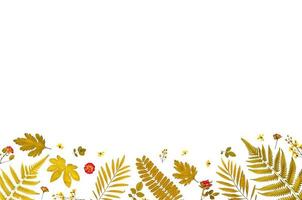 marco de hojas secas y flores, fondo y papel tapiz de hojas secas. foto