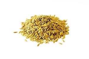 Top view paddy rice and rice seed, Brown of rice grain and rice pile. photo