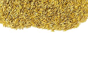 Top view paddy rice and rice seed, Brown of rice grain and rice pile. photo