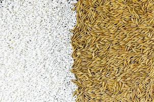 Top view paddy rice and rice seed, Brown of rice grain and rice pile. photo