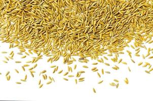 vista superior arroz con cáscara y semillas de arroz, grano de arroz integral y pila de arroz.