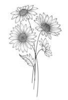 Daisy Flower Outline Daisy LIne Art Line Drawing chamomile outline vector