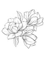 Magnolia Flower Outline Magnolia LIne Art Line Drawing vector