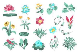 conjunto aislado de flores y plantas vector