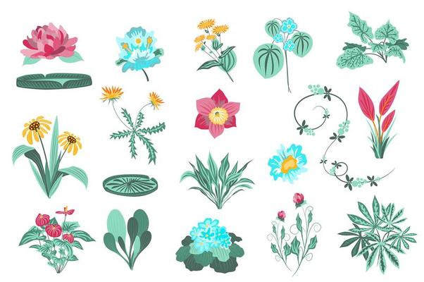 Flower and plants isolated set