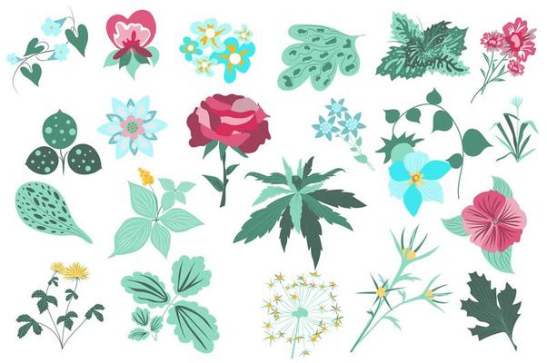 Flower and plants isolated set