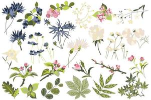 Flower and plants isolated set vector