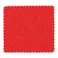 Red zigzag fabric sample photo