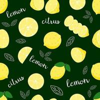 Lemon pattern. Citrus fruit. Lemon whole and sliced. Seamless vector