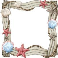 watercolor driftwood frame with starfishes and sea shells vector