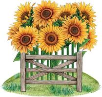 Watercolor sunflower rustic country decoration