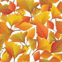 Autumn leaves seamless pattern. Fall leaf garden nature background vector