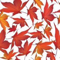 Autumn leaves seamless pattern. Fall leaf garden nature background vector