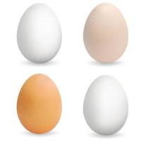 huevos multicolores realistas. conjunto de huevos 3d vector