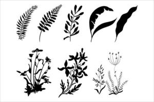 Floral design elements vector eps 10