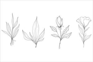 elementos florales dibujados a mano vector