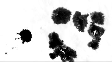 Ink Drops Spread Over a Wet Surface video