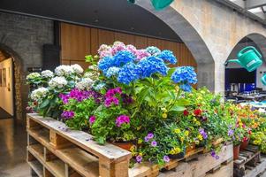 Flower Festival in Girona Temps de Flors, Spain. 2018 photo