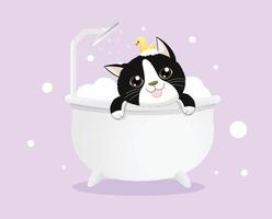 clean tuxedo cat takes a bath vector