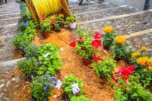 Flower Festival in Girona Temps de Flors, Spain. 2018 photo