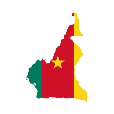 Cameroon map silhouette with flag on white background