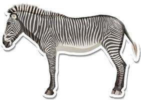 A sticker template of zebra cartoon character vector