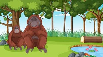 orangután en el bosque o la escena de la selva tropical con muchos árboles vector