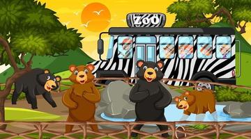 Safari at sunset time scene with many children watching bear group vector