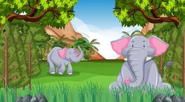 Elephant mom and baby in forest or rainforest scene with many trees vector