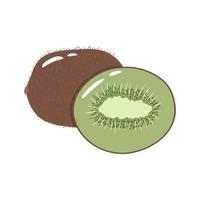 Ilustración de vector colorido kiwi aislado sobre fondo blanco.