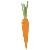 Ilustración de vector colorido zanahoria aislado sobre fondo blanco.