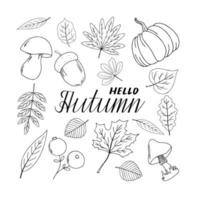 Autumn set of leaves, pumpkin, berries and mushrooms. Floral vector