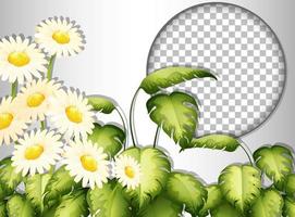 Round frame with tropical flowers and leaves template vector